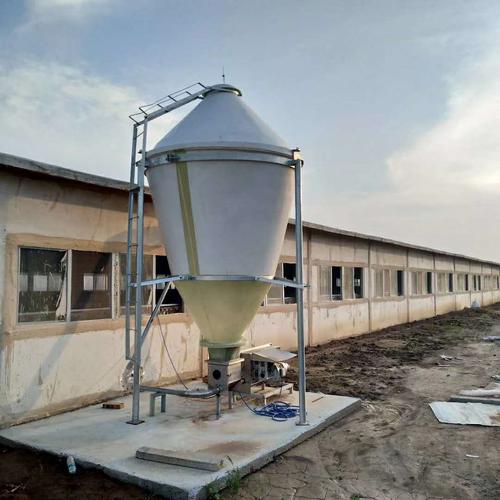 自动喂食设备 养殖厂新型饲喂设备 自动化料线